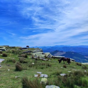 Pays basque, dernier post 🤩